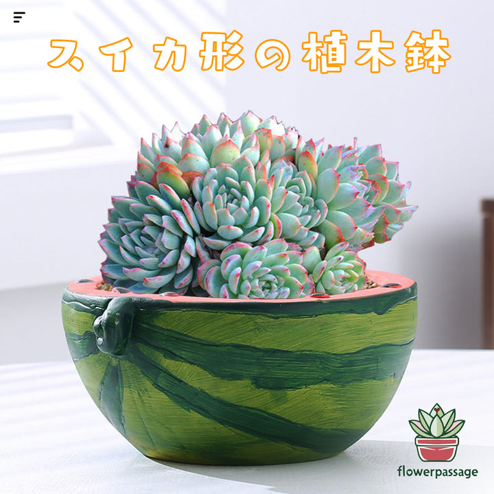 HP0001 ｟フルーツシリーズ｠ 🍉スイカモデル 植木鉢 – 花の
