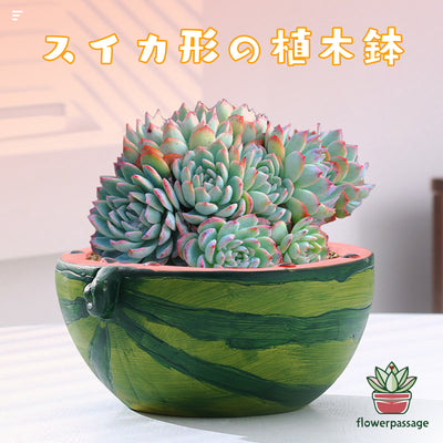 HP0001 ｟フルーツシリーズ｠ 🍉スイカモデル 植木鉢